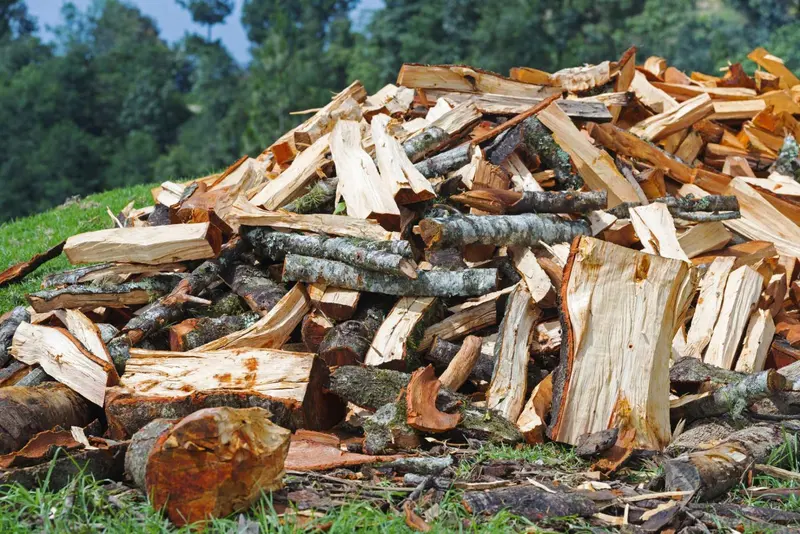 Pile of dry seasoned logs for sale from Pollards Forestry & Landscaping Contractors Keighley