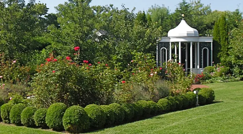 Formal garden with clipped box hedging and gazebo landscaped by Pollards Forestry & Landscaping Contractors