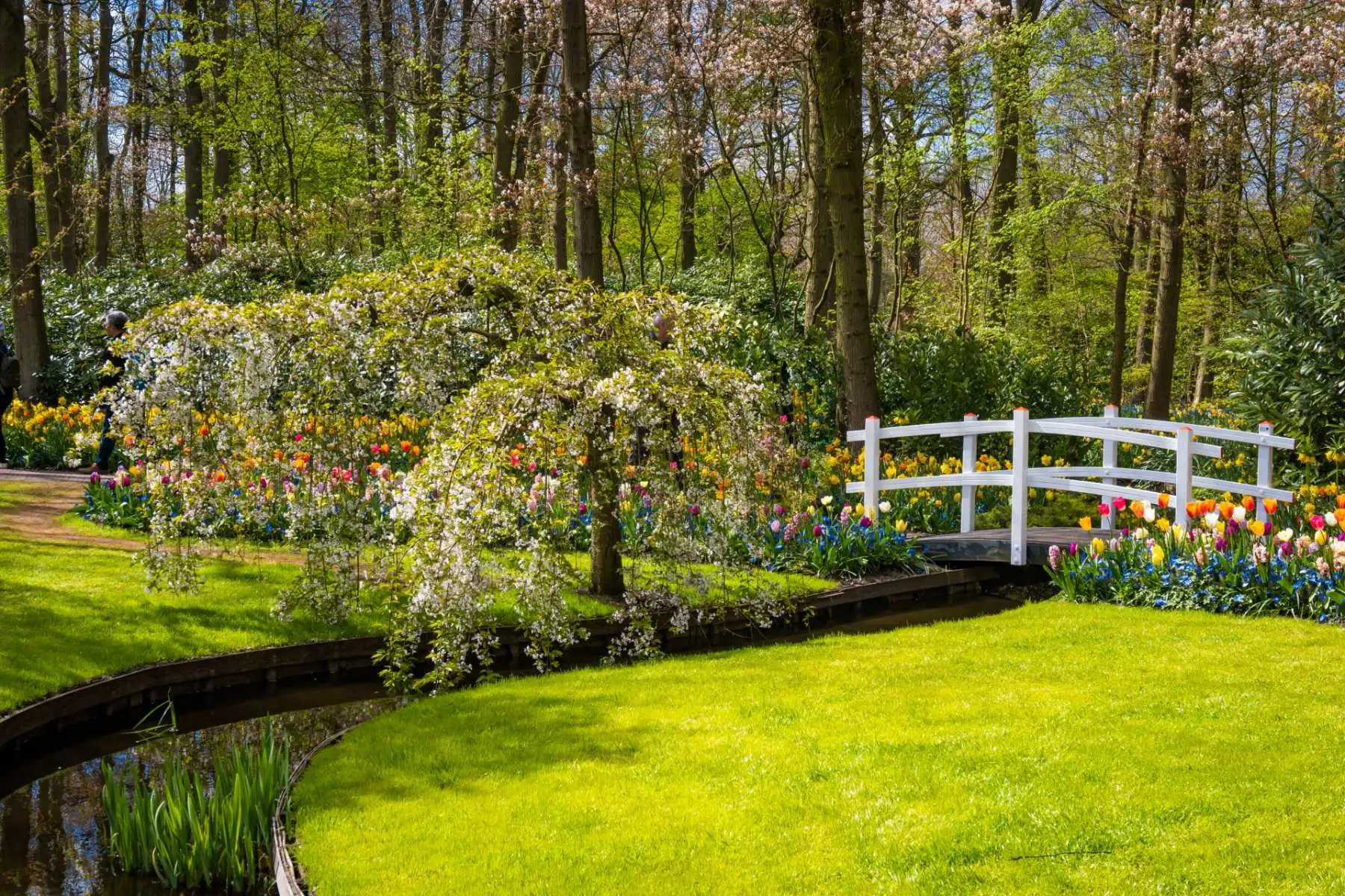 Landscaped formal garden with lawn, pond and footbridge by Pollards Forestry & Landscaping Contractors Keighley